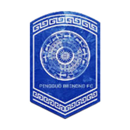 北京雨虹修缮女足